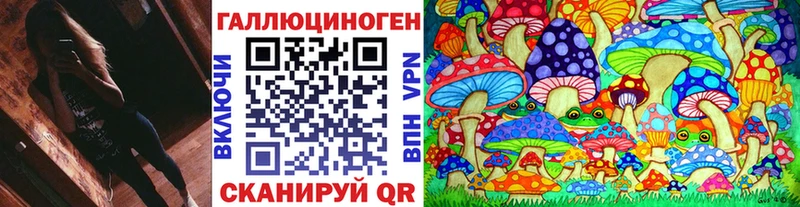 где продают Нерчинск Псилоцибиновые грибы ЛСД